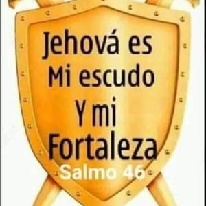 Meet your Posher, Edith